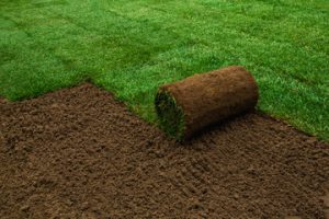Sod Installation