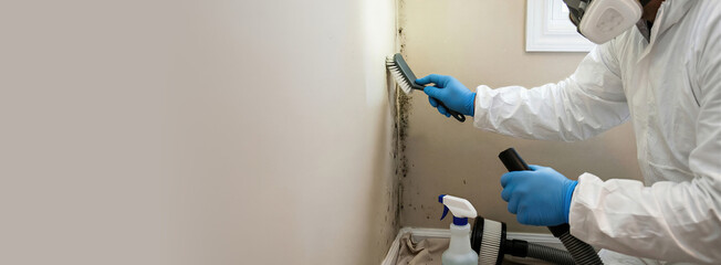 Water Damage Remediation